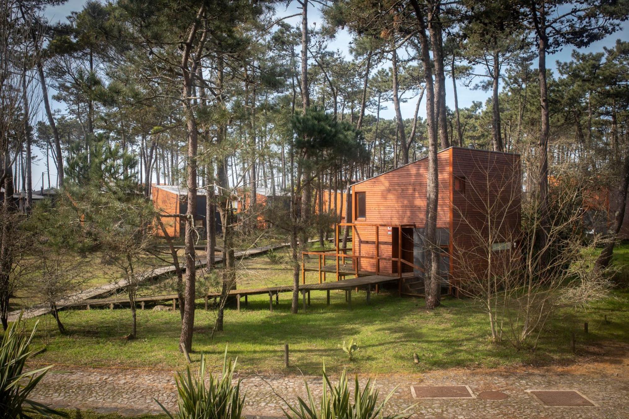 Bungalow B2 - Nature, Beach & River Ofir Zewnętrze zdjęcie