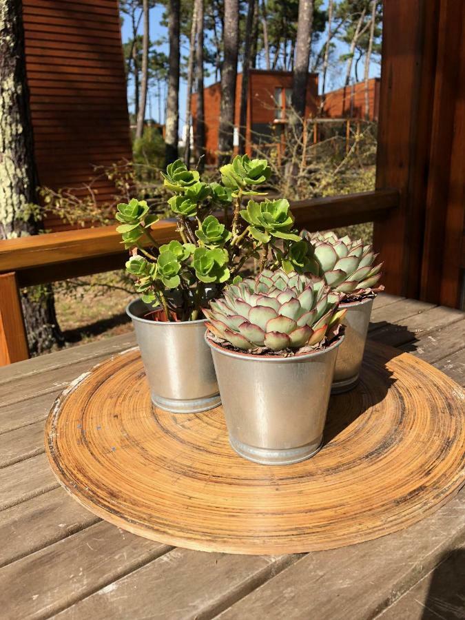 Bungalow B2 - Nature, Beach & River Ofir Zewnętrze zdjęcie