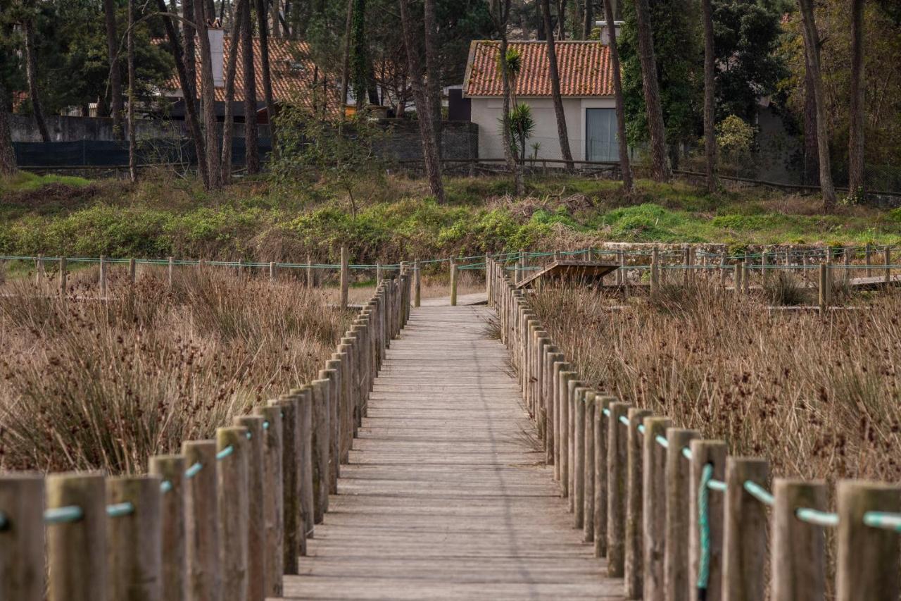 Bungalow B2 - Nature, Beach & River Ofir Zewnętrze zdjęcie